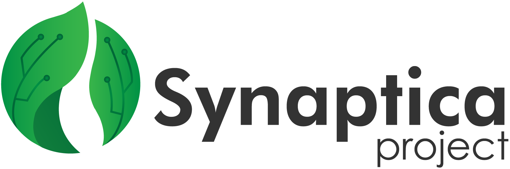 Synaptica